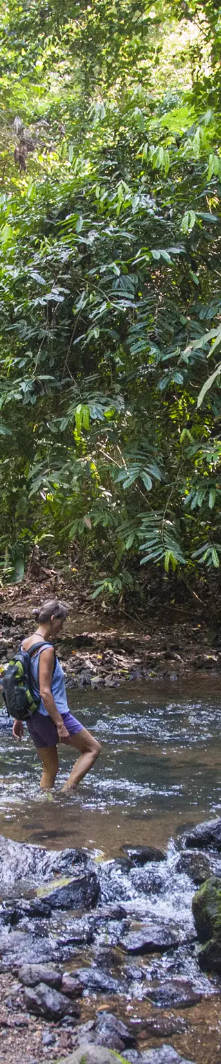 Besuche den abgelegenen Corcovado Nationalpark